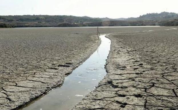 La cuenca del Segura se enfrenta a una de las sequías más largas de los últimos años