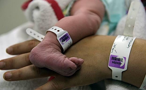 Madres e hijos participarán en el 'Proyecto Nela'. 