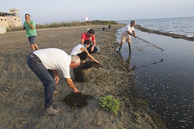 Trabajadores y voluntarios retiran las algas en busca de ejemplares de fartet en la zona. 
