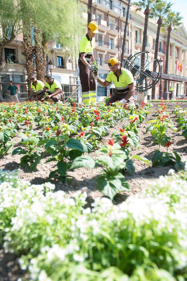 Medio centenar operarios de jardinería plantan hasta finales de agosto en Murcia más de 70.000 flores para la Feria de Septiembre en el jardín del Malecón.