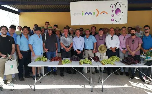 Reunión sobre las últimas variedades de uva de mesa en las instalaciones de ITUM en Blanca.
