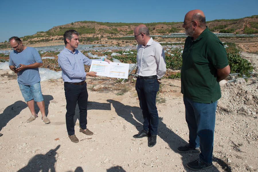 El consejero murciano de Agua, Agricultura, Ganadería y Pesca, Miguel Ángel del Amor, visita en Aledo la zona de parrales de uva de mesa dañados por las recientes tormentas de granizo.