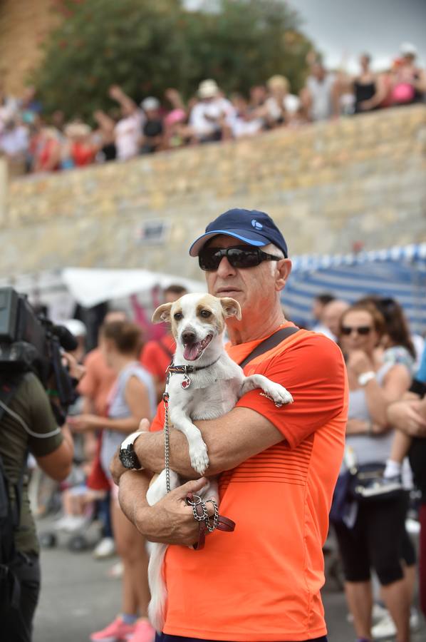 Miles de móviles captaron las imágenes de la romería, en la que no faltaron las flores, las velas, los sombreros, los churros y hasta un helicóptero. 