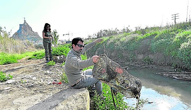 Los biólogos de Columbares, durante una jornada de muestreo. 