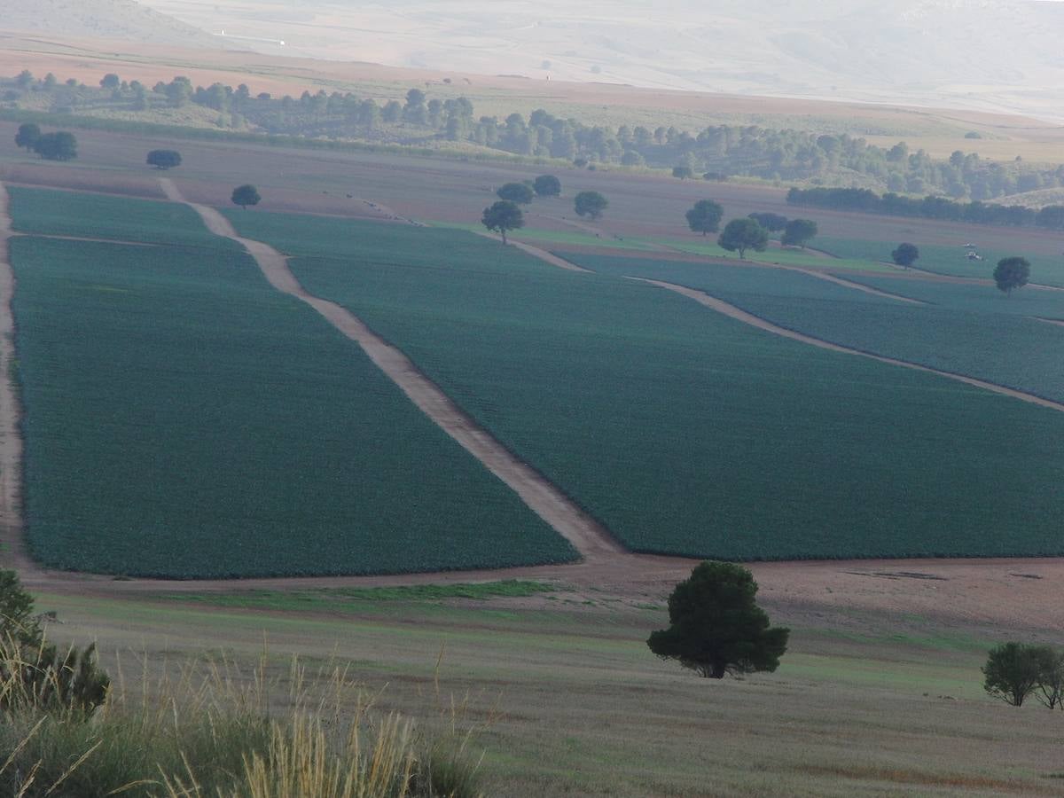 Los regantes tradicionales denuncian la transformación ilegal de fincas de secano en Caravaca de la Cruz y Moratalla y el expolio de los acuíferos.