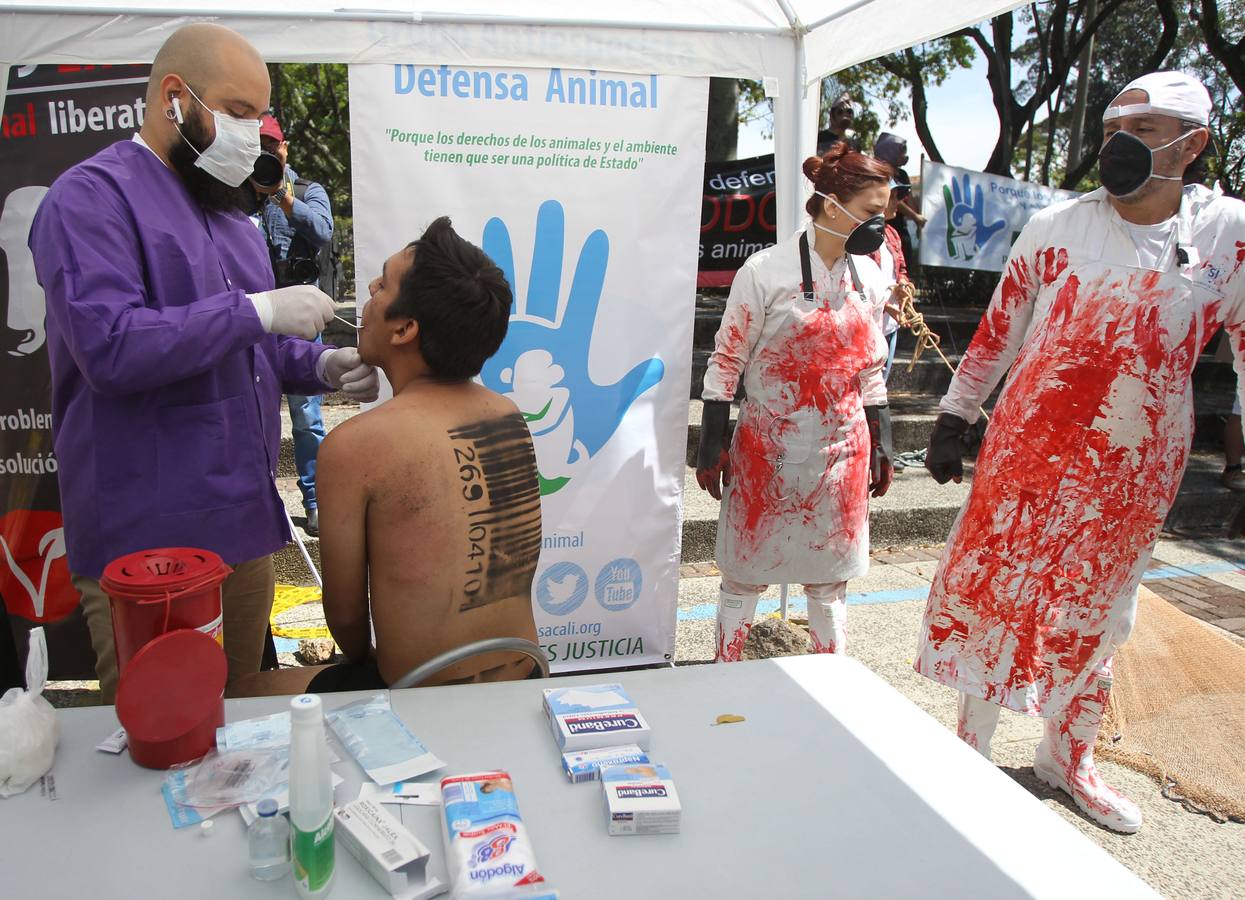 Activistas ambientales realizan una protesta en la que se colocaron anzuelos de pesca en la boca para representar el sufrimiento de los peces al ser atrapados, en el marco del Día Mundial de los Animales, en Cali (Colombia). 