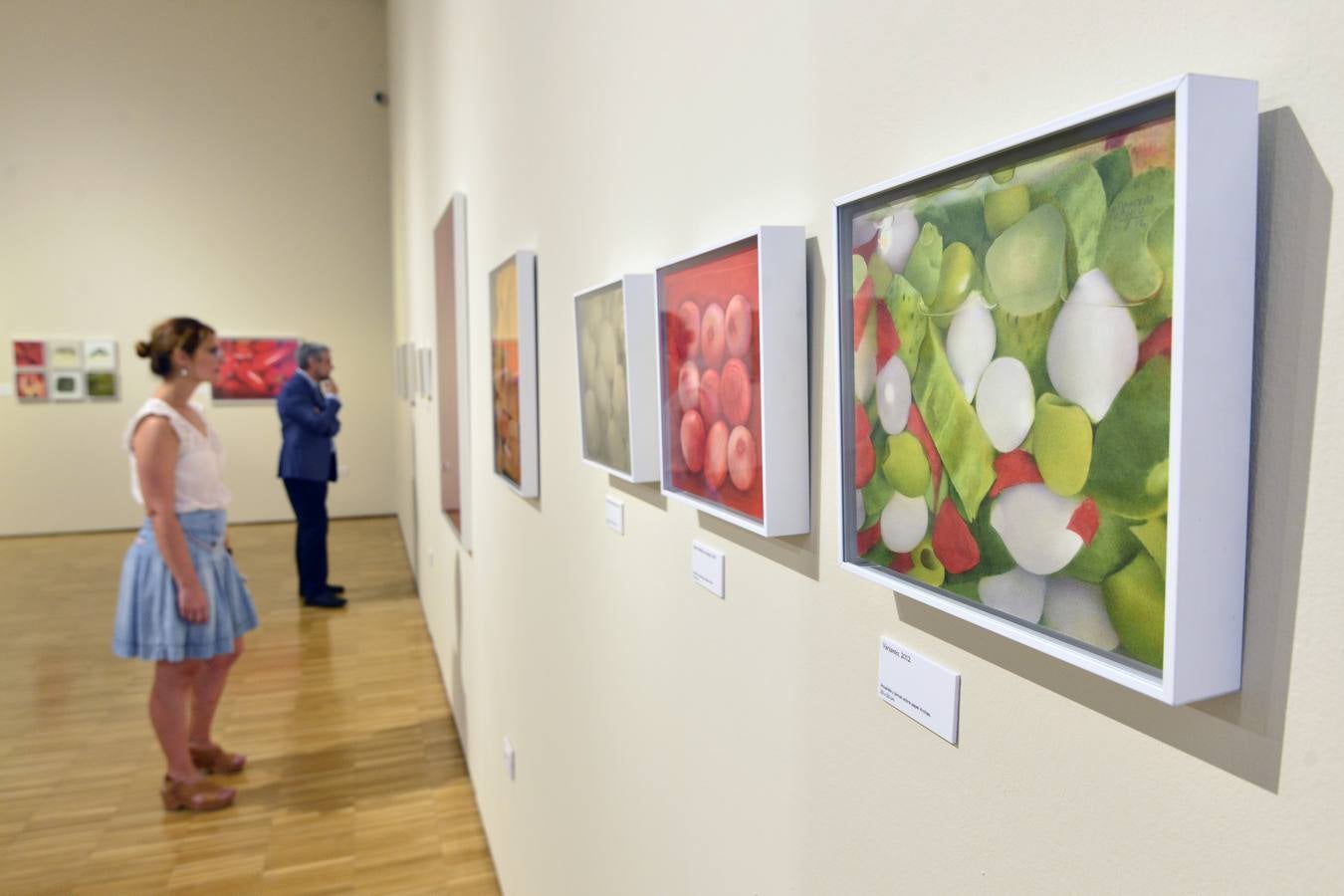 El Museo de Bellas Artes de Murcia inaugura 'Naturalezas', una muestra que recoge dos décadas de trabajo del pintor 