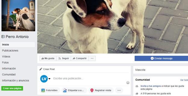 Página de Facebook del 'Perro Antonio'.