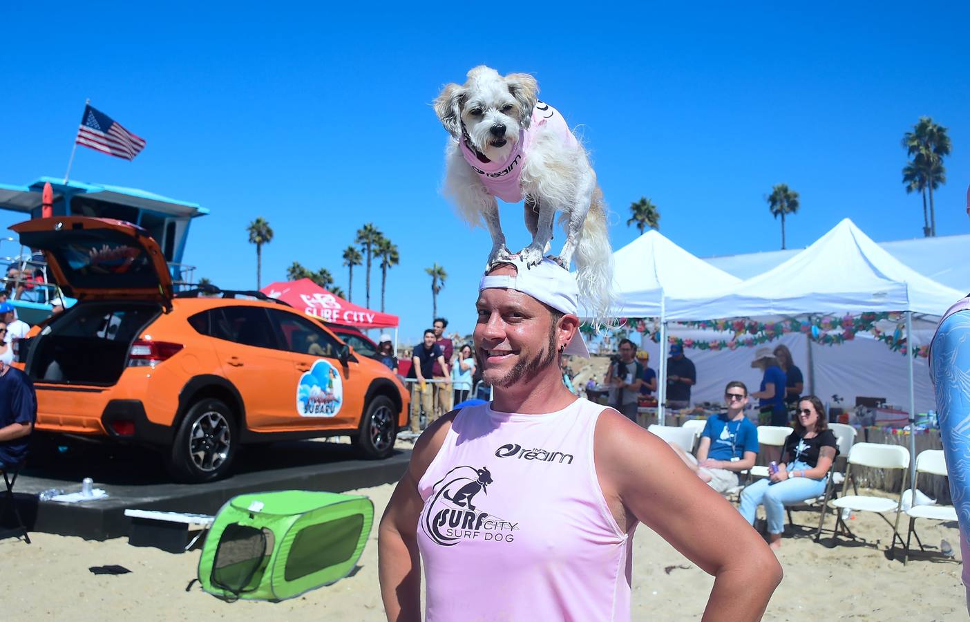 Perros surfistas participan en la competición Surf City Dog Surfing celebrada en Huntington Beach, California.