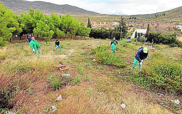 Los peones agrícolas, ayer, limpiando de rastrojos el mirador del depósito de La Paca. 