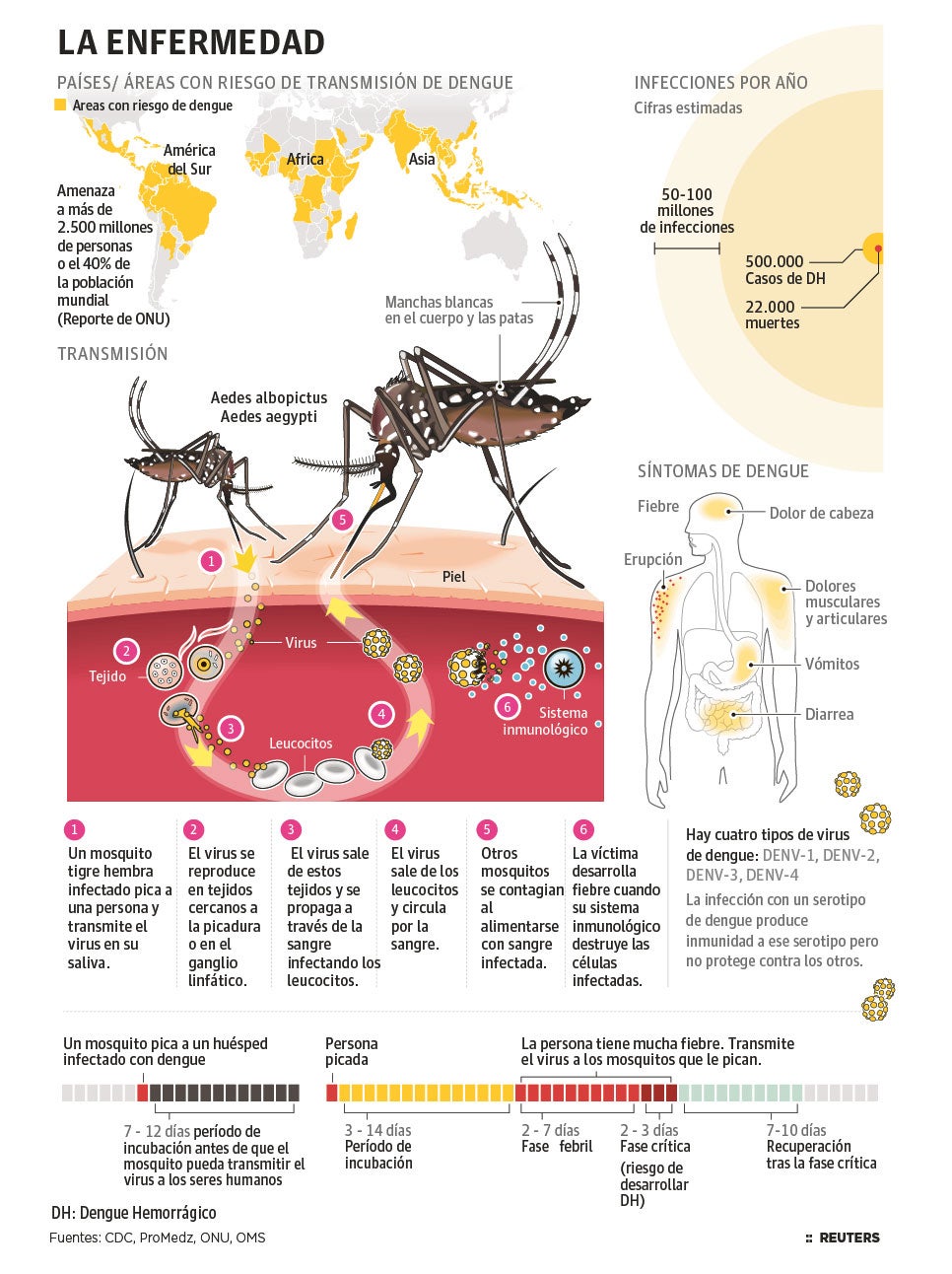 Dengue: transmisión, síntomas y áreas con riesgo