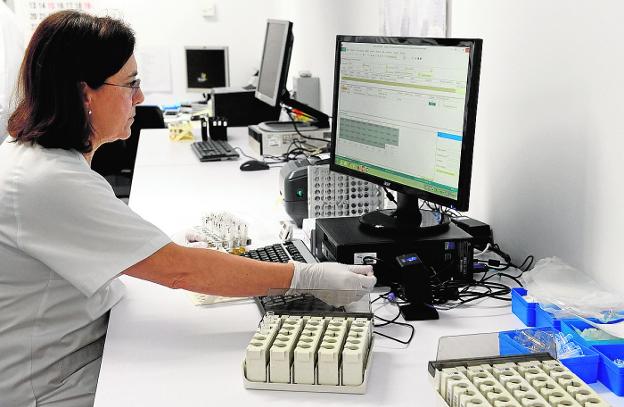 Análisis de muestras en el Servicio de Microbiología y Parasitología de la Arrixaca. 