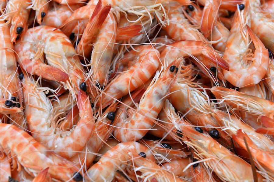 El evento tendrá lugar del 19 al 21 de octurbre e incluirá ponencias, degustaciones, 'showcookings', concursos de cocina, conciertos y talleres