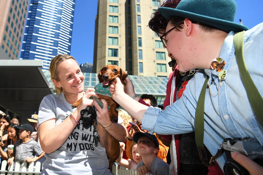 El evento es parte de las celebraciones del Oktoberfest de Melbourne, inspiradas en el tradicional festival bávaro de Alemania.