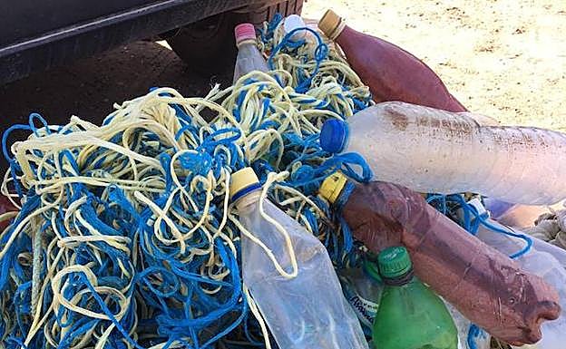 Los residuos de plástico en los que se enredaron las tortugas bobas.