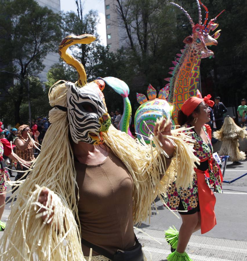 Un centenar de figuras de animales fantásticos, conocidos como alebrijes, desfiló ante la algarabía de decenas de miles de personas que colmaron el recorrido por las calles del centro de la Ciudad de México.