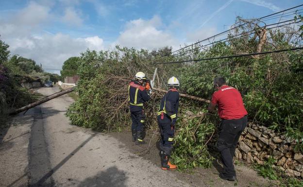 Efectivos del cuerpo de bomberos retiran un árbol caído en la zona de la urbanización La Argentina, municipio de Alaior en Menorca.