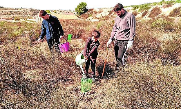 La semilla de las 'Ramblas siemprevivas'