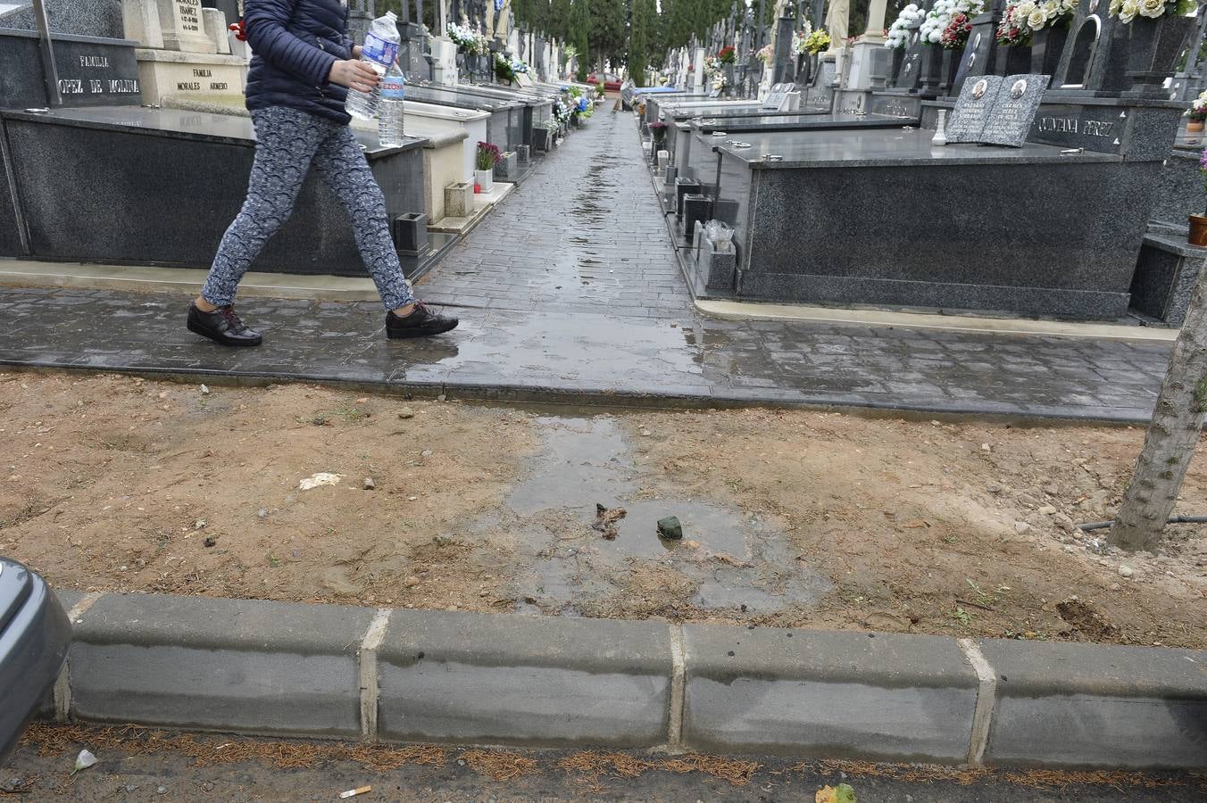 El día de Todos los Santos sigue siendo por excelencia la fecha más demandada para que los murcianos visiten los cementerios del municipio, los de pedanías y, en especial, el de Nuestro Padre Jesús, para cumplir con la tradición de llevar flores y rezar unas oraciones por los fieles difuntos.