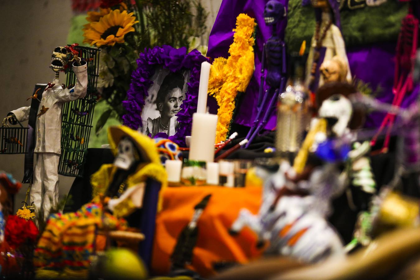 México inicia su conmemoración por el 'Día de Muertos' con un multitudinario desfile en el que la muerte ha sido representada con todos los colores y las formas posibles.