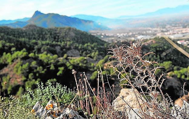 Vistas de las cumbres de El Valle y Carrascoy, con el monte Miravete en primer plano. 