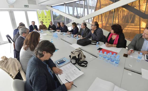 El Consejo Asesor Regional de Medio Ambiente, al que no acudieron este martes Ecologistas en Acción y ANSE.