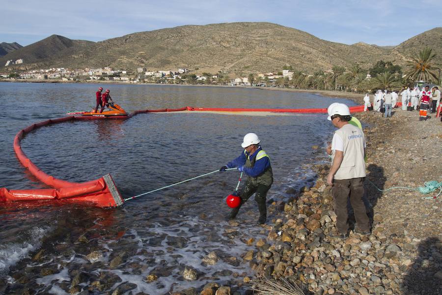 El ejercicio activó seis planes de emergencia de distintos organismos