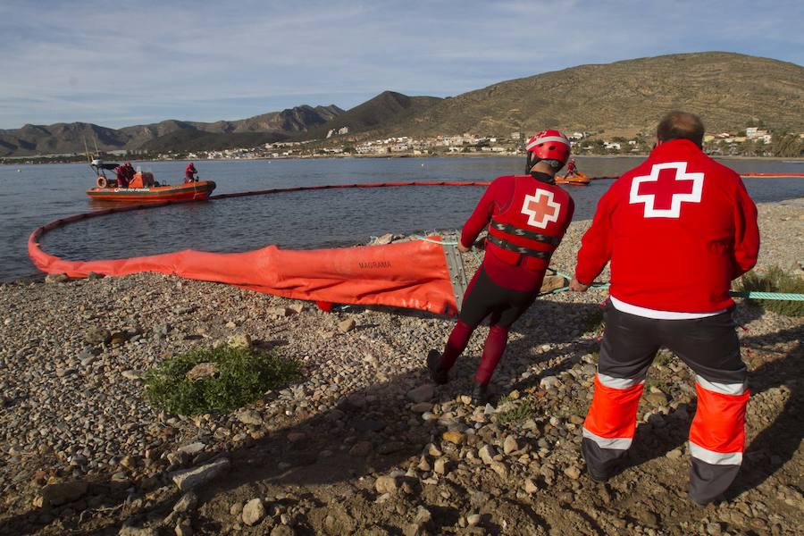 El ejercicio activó seis planes de emergencia de distintos organismos