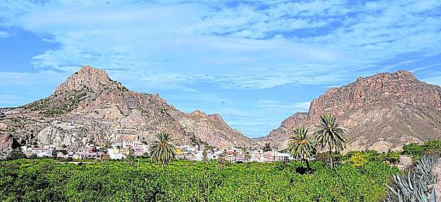 Vista panorámica del Valle de Ricote, con Ojós al fondo y flanquedo por las sierras de Ricote y La Navela (ZEPA y LIC). 