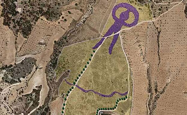 Proyecto de 'land art' AlVelAl 8000 para restaurar una finca pública con aromáticas en Vélez Blanco.