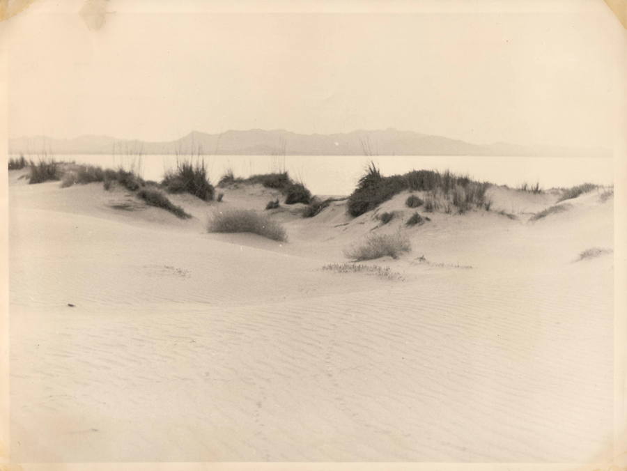 Los periodistas Ana Tudela y Antonio Delgado recorren las heridas del 'boom' urbanístico en el Mediterráneo español en su libro 'Playa Burbuja'