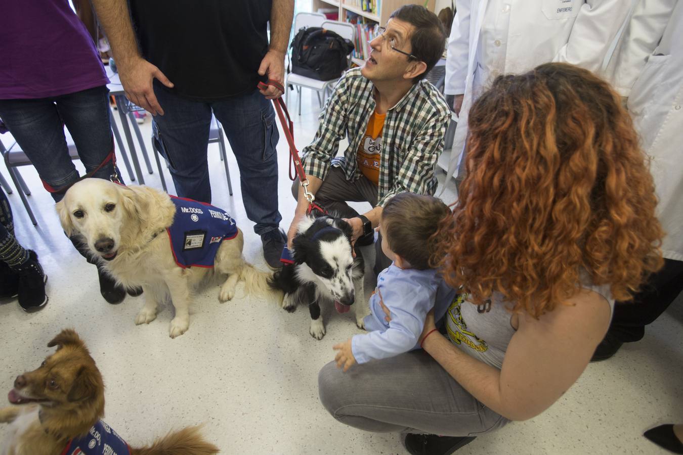 Siete canes forman parte del equipo del 'Doctor Guau', un proyecto puesto en marcha por la Consejería de Salud con el objetivo de contribuir a la recuperación de los niños hospitalizados a través de la mejora física, social, emocional y cognitiva mediante terapias con perros