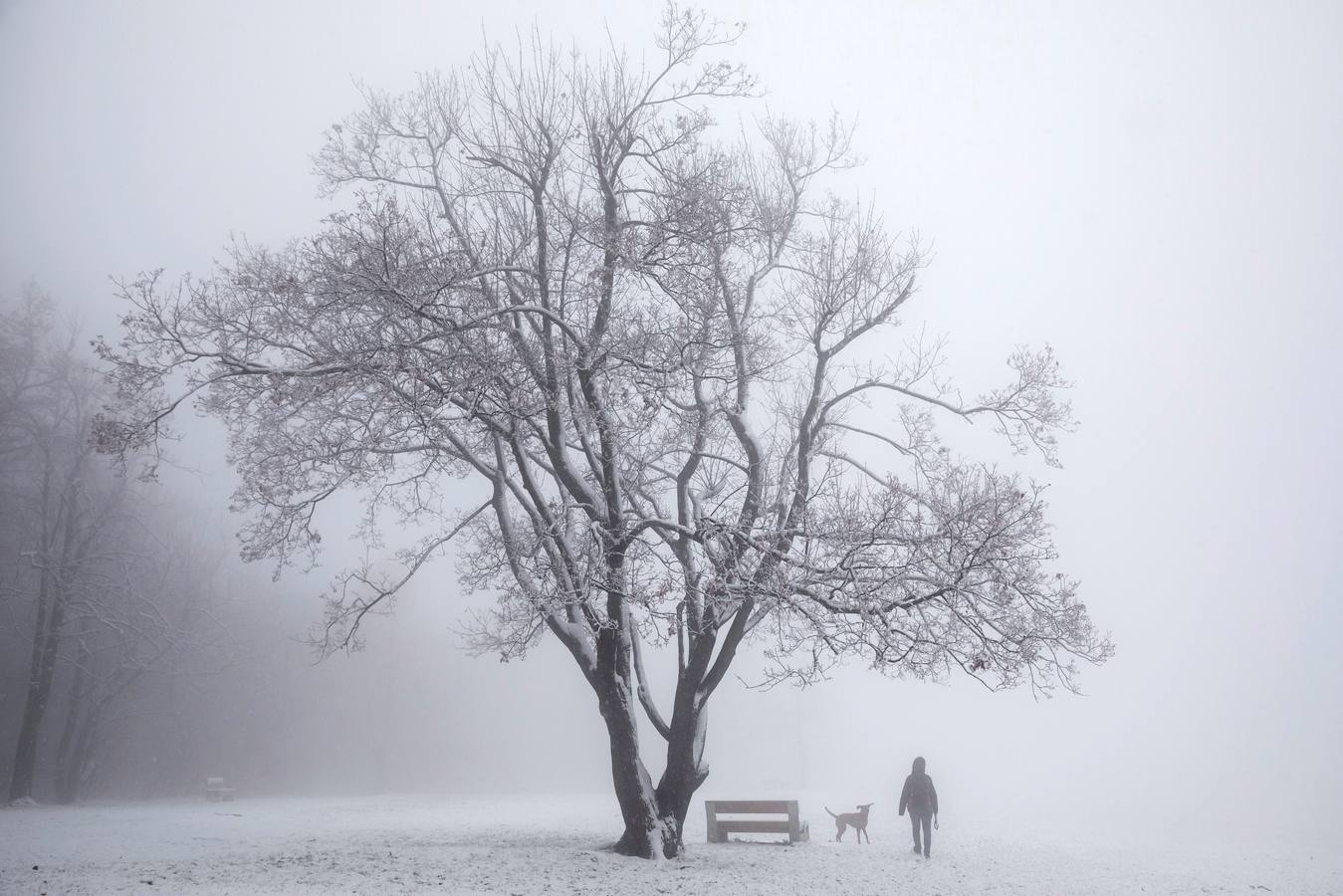 Varias personas pasean sobre la nieve en la colina de Buda en Budapest (Hungría), donde el frío ha llegado para quedarse.