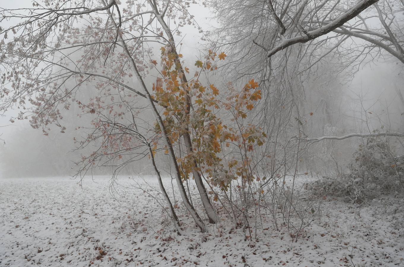 Varias personas pasean sobre la nieve en la colina de Buda en Budapest (Hungría), donde el frío ha llegado para quedarse.