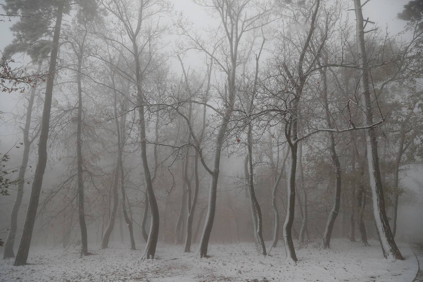 Varias personas pasean sobre la nieve en la colina de Buda en Budapest (Hungría), donde el frío ha llegado para quedarse.