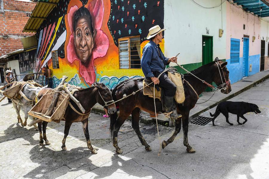El Primer Festival Internacional de Murales por la Paz en San Carlos, departamento de Antioquia, Colombia. Esta ciudad está ubicada en una región geográfica estratégica donde grupos paramilitares y guerrilleros lucharon por el control del territorio. Según los organizadores del evento, el Festival Mural está dirigido a cambiar la percepción negativa de la ciudad, conocida principalmente por su pasado violento, en un sitio abierto al turismo que ofrece buenas instalaciones de alojamiento, actividades como ecoturismo y ahora agrega un circuito de 56 murales. a recorrer.