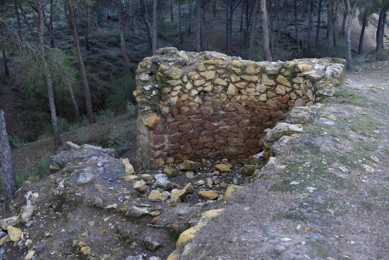 'La Verdad' se une a una excursión organizada por la Concejalía de Juventud por las zanjas defensivas en el Valle Perdido