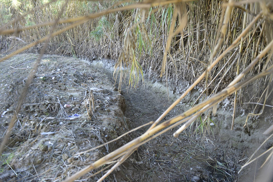 Los partidos Ahora y Cambiemos y la asociación Huermur denunciaron previamente estos hechos y exigieron este detenimiento por «atentar» contra la red de regadíos tradicionales de la huerta