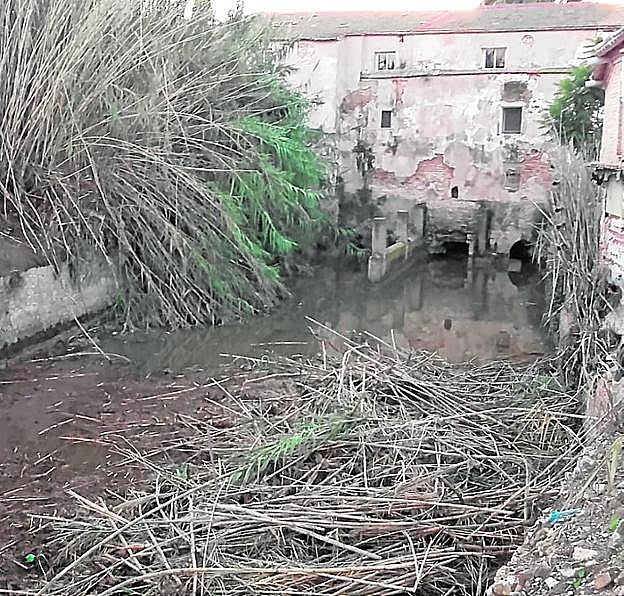 La acequia, a la altura del Molino de Los Casianos. 