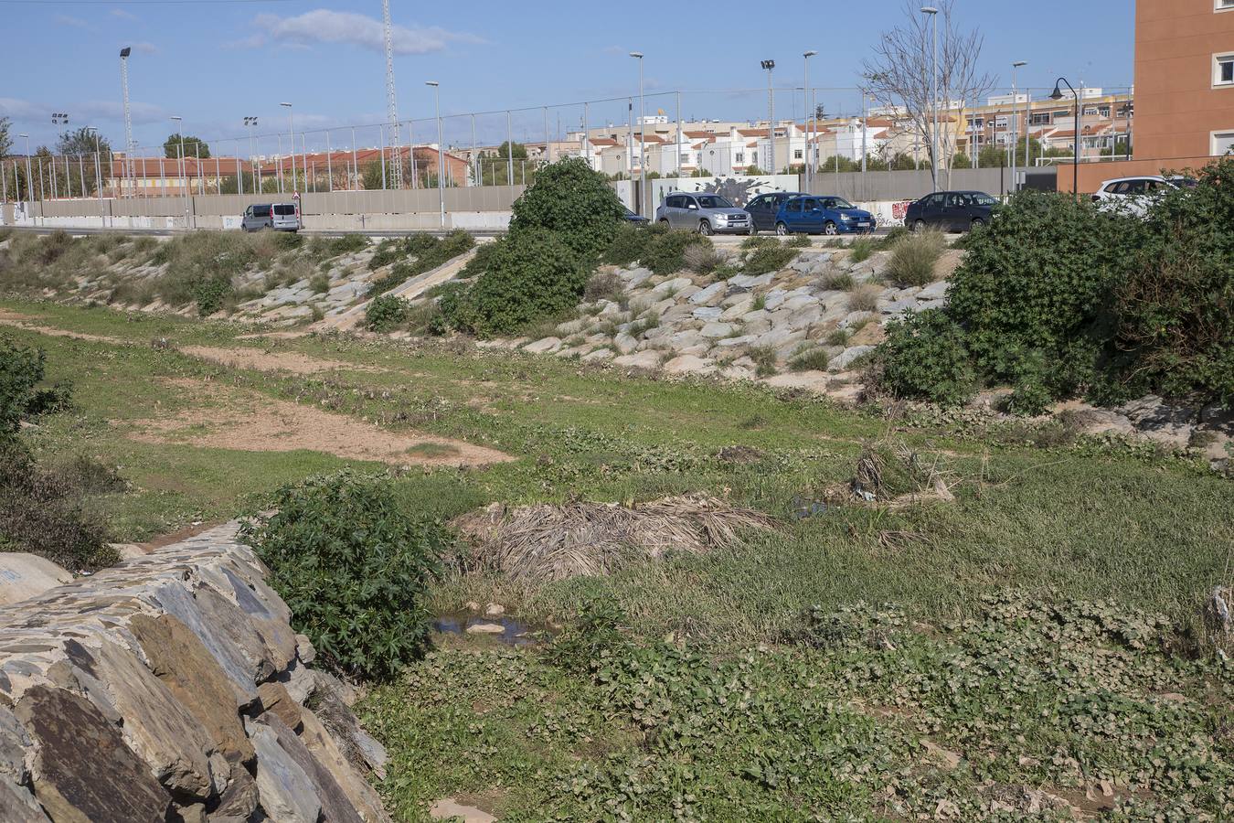 Maleza, troncos, plásticos y material de arrastre atoran tramos urbanos de los cauces, tras las inundaciones de la semana pasada