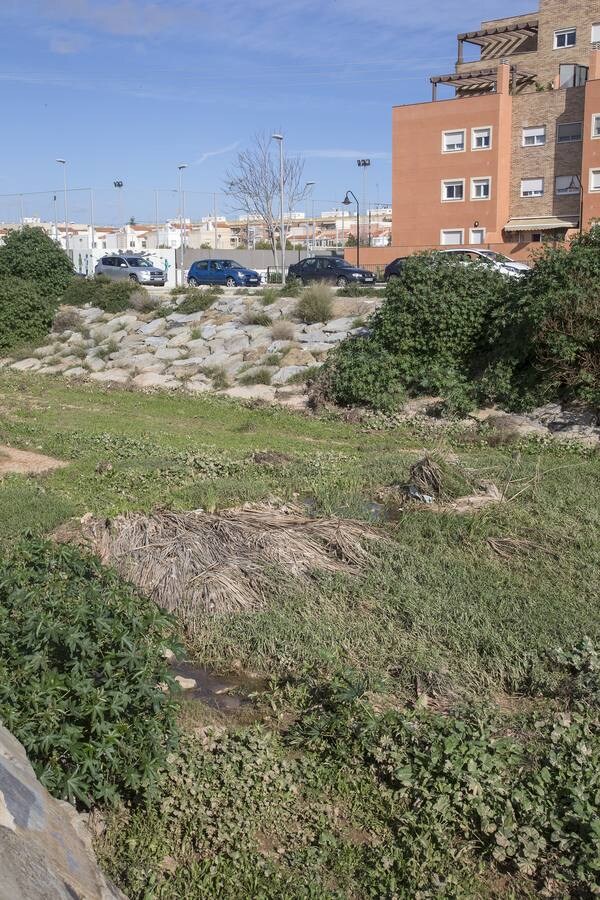 Maleza, troncos, plásticos y material de arrastre atoran tramos urbanos de los cauces, tras las inundaciones de la semana pasada