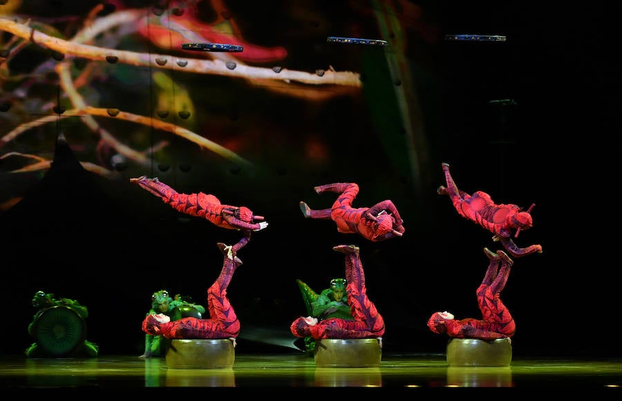 'La Verdad' acompaña a los artistas de la mítica compañía canadiense en una jornada de duro entrenamiento 'Ovo', la nueva apuesta del Circo del Sol, recalará en Murcia del 16 al 20 de enero