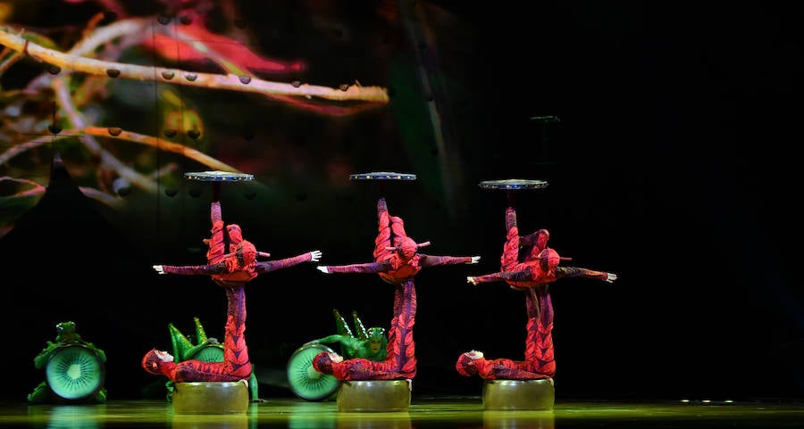 'La Verdad' acompaña a los artistas de la mítica compañía canadiense en una jornada de duro entrenamiento 'Ovo', la nueva apuesta del Circo del Sol, recalará en Murcia del 16 al 20 de enero