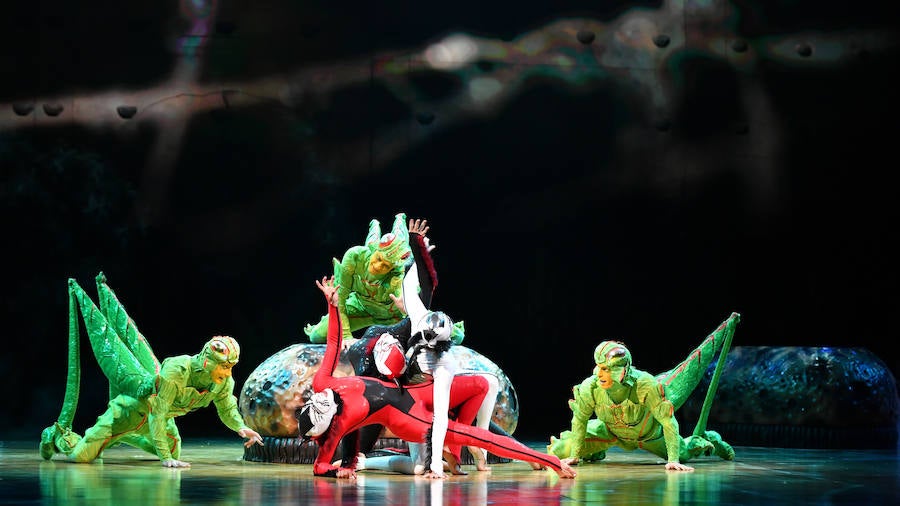 'La Verdad' acompaña a los artistas de la mítica compañía canadiense en una jornada de duro entrenamiento 'Ovo', la nueva apuesta del Circo del Sol, recalará en Murcia del 16 al 20 de enero