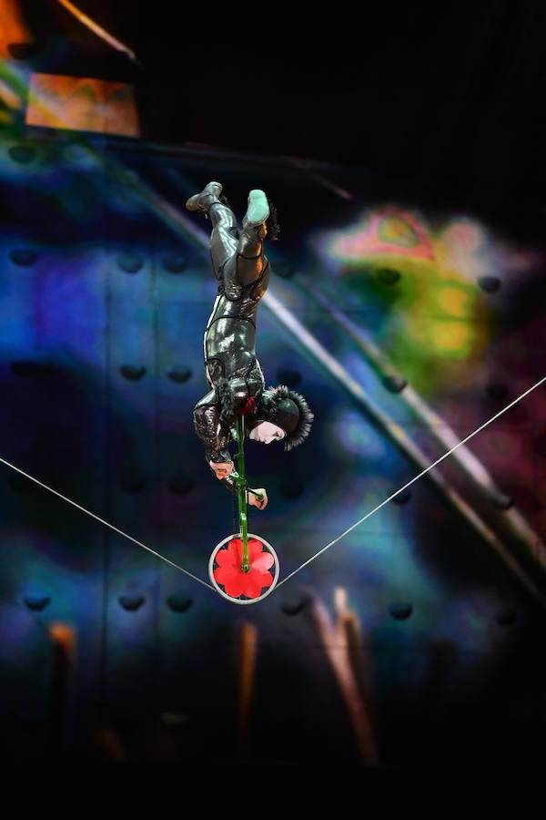 'La Verdad' acompaña a los artistas de la mítica compañía canadiense en una jornada de duro entrenamiento 'Ovo', la nueva apuesta del Circo del Sol, recalará en Murcia del 16 al 20 de enero