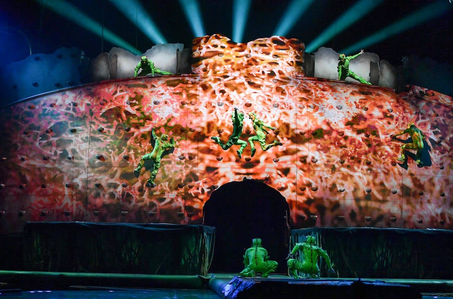 'La Verdad' acompaña a los artistas de la mítica compañía canadiense en una jornada de duro entrenamiento 'Ovo', la nueva apuesta del Circo del Sol, recalará en Murcia del 16 al 20 de enero