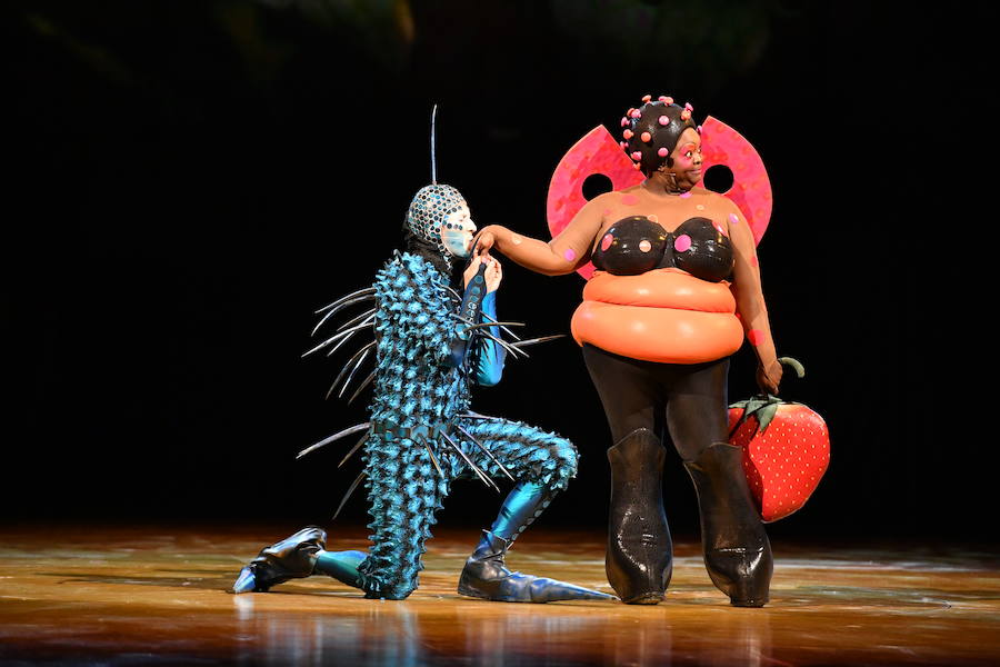 'La Verdad' acompaña a los artistas de la mítica compañía canadiense en una jornada de duro entrenamiento 'Ovo', la nueva apuesta del Circo del Sol, recalará en Murcia del 16 al 20 de enero