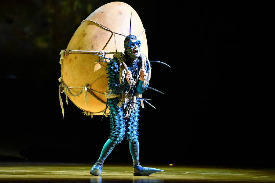'La Verdad' acompaña a los artistas de la mítica compañía canadiense en una jornada de duro entrenamiento 'Ovo', la nueva apuesta del Circo del Sol, recalará en Murcia del 16 al 20 de enero