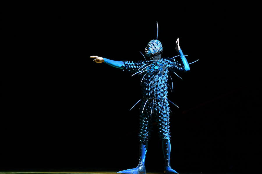 'La Verdad' acompaña a los artistas de la mítica compañía canadiense en una jornada de duro entrenamiento 'Ovo', la nueva apuesta del Circo del Sol, recalará en Murcia del 16 al 20 de enero