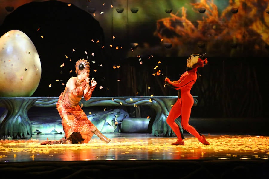 'La Verdad' acompaña a los artistas de la mítica compañía canadiense en una jornada de duro entrenamiento 'Ovo', la nueva apuesta del Circo del Sol, recalará en Murcia del 16 al 20 de enero